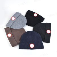 Wholesale top1 Luxury beanies Hight quality men and women Wool knitted hat classical sports skull caps women High end casual gorros Bonnet GOOSE b