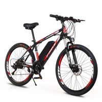 Wholesale motor bikes for adults v ah w ekectric electric bicycle mono sports retro e cycle bikes