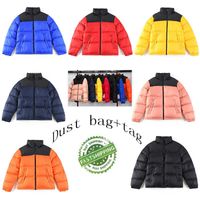 Wholesale Best North Designer Down Parkas Genuine Clothing Keep warm Windbreaker Womens Mens Black Yellow Red Winter Thick XS XXL Dust Bag Tag