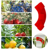 Wholesale 10pcs set Degree Plant Bender For Low Stress Training And Red Increase Air Flow Easily Install Garden Supplies Decorative Flowers Wreat