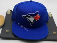 Wholesale Top sale Toronto Fitted Baseball Caps Sports Flat Full Closed Hats Outdoor Fashion Hip Hop Snapback Chapeau Bones Gorra
