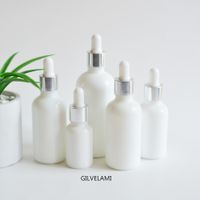 Wholesale White Glass Dropper Bottle ml ml ml ml with Plastic Silver Cap oz Essential Oil Bottles