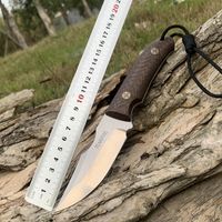 Wholesale Tunafire GT0155 Straight knifes D2 fixed blade Rescue Tactical Knives Good for Hunting Camping Survival Outdoor Everyday Carry tools WIth Kydex knife Sheath