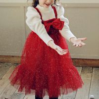 Wholesale Girl s Dresses Baby Kid Cute Costume Fall Children Mesh Sweet Bow Pink Red Princess Clothes Winter Vest Dress For Girls