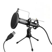 Wholesale R1 USB Condenser Recording Metal Microphone For Laptop Studio Recording Vocals Voice Over sound card live broadcasting equipment