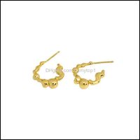 Wholesale Jewelrytrendy Stud Earrings Gift For Women Sterling Sier Earring Minimalist Irregular Punk Earings Joyeria Fina Para Jewellery Drop Deli