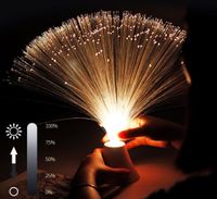 Wholesale led colorful fiber optic lights net red dormitory decoration lights bedroom room atmosphere starry lights plug inTouch switch