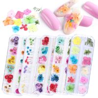 Wholesale Nail Gel Manicure Dried Flowers Grid Boxed Colorful Small Daisy Gypsophila Real Flower Jewelry Art