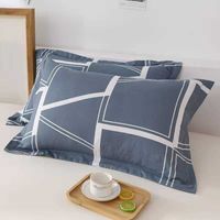 Wholesale Pillow Case Night market adult thickened single double pillow casePillow Case UNW