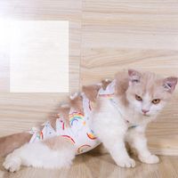 Wholesale Cat Costumes Puppy Treatment Vest Clothes Recovery Suit Alternative After Wear Anti Pet Licking Wounds A