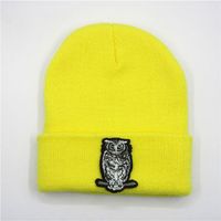 Wholesale LDSLYJR Cotton Owl animal embroidery Thicken knitted hat winter warm hat Skullies cap beanie hat for adult and children