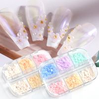 Wholesale 6 Grid Discolor D White Flower Nail Accessories Resin Rhinestone Charms Pigment Stone DIY Nails Art Beads Manicure Tools