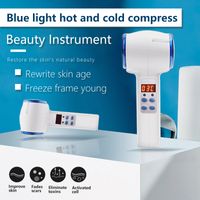 Wholesale Hot And Cold Hammer Ice Facial Massager Pore Tightening Massage Roller Blue Light Therapy