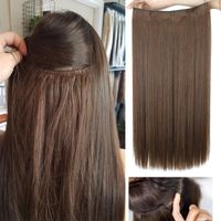 Wholesale Synthetic Wigs WERD Heat Resistant Natural Fishing Line Long Straight Hair Secret Invisible Wig Without Glue One Piece