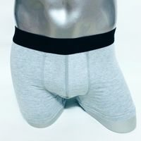 Wholesale Fashion Mens Underpants Sexy Underwear Cotton Comfortable Breathable Printed Boxers Colors Asian Size M XXL