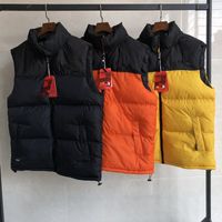Wholesale North Men s Down Vest Parkas with Map Embroidery New Mens Down Coat Sleeveless Jackets Womens Down Outerwear Active New Clothes