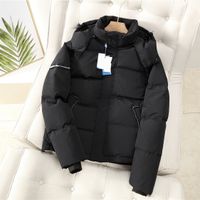 Wholesale Men Women Brand Down Jacket Hooded Retro Design Coat Winter Solid Color Puffy Warm Clothes Slim Short Jackets Big Size Outerwear