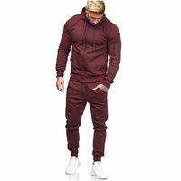 Wholesale Men s Tracksuits European And American Sports Suit Arm Zipper Decoration Fitness Casual Wear Piece Clothing
