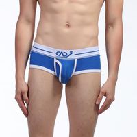 Wholesale Underpants Man Sexy Modal Cotton Seamless Underwear Gay Male Penis Pouch Mini Boxers Shorts Panties WangJiang Brand
