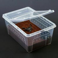Wholesale Large Reptiles Feeding Box Plastic Container Insect Pet Terrarium Transport Breeding Live Food Case with Bowl Reptile Supplies