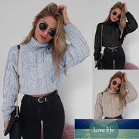 Wholesale Vintage Turtleneck Crop Top Sweater Women Thick Twist Knitted Pullovers Fashion Casual Black Solid Sexy Winter Clothes Slim