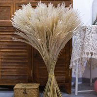 Wholesale Decorative Flowers Wreaths Dried Pampas Grass Reed Artificial Simulation Plants Set Tall Floor Vase Home Decoration