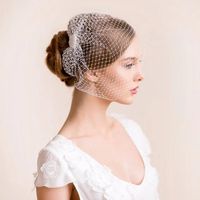 Wholesale Bridal Veils White Face Net Birdcage Veil Charming Wedding Hair Accessories Fascinator With Comb
