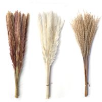 Wholesale Reed Pampas Wheat Ears Rabbit Tail Grass Natural Dried Flowers Bouquet Wedding Decoration Hay for Party Bohemian Home Q2