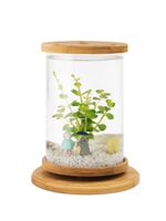 Wholesale Aquariums Office Transparent Fish Tank Wood Stand Creative Glass Ecosystem Home Small Aquarium Peceras Accessories EI50YG