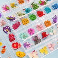 Wholesale Decorative Flowers Wreaths Box Dried Dry Plants For Resin Molds Fillings Epoxy Pendant Necklace Jewelry Making Craft DIY Nail Art Decorat