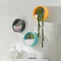 Wholesale Flower Pots Home Indoor Wall Decoration Planting Flower Pots Hanging Round Planter Pot With Light Tube Drop