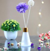 Wholesale Conical Aromatherapy Glass Bottles ml ml Scent Volatilization Glasses Container Rattan Reed Diffuser Car Perfume Bottle RRD7540