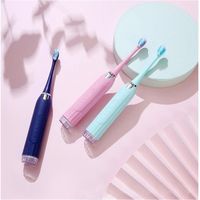 Wholesale 2 in Teeth Cleaning Machine Toothbrush Tooth Stone Remover Oral Care Tools Electric Beauty Instrument Colors