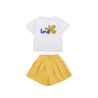 Wholesale Summer Kids Clothing Sets Girls T Shirt Short Sleeve Shorts Pant Clothes Toddler Infant Children Cute Outfits Fashion