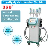 Wholesale 360 Degree Fat Freezing Cryolipolysis Body Slimming Machine Rf Radio Frequency Skin Whitening Lipo Laser Weight Lose