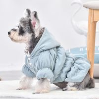 Wholesale Dog Apparel Princess Clothes Cute Pet Warm Dress Hoodie Floral Bubble Skirt Girl Winter Coat Outfit Puppy Down Jacket