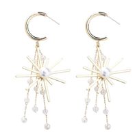 Wholesale Dangle Chandelier Fashion Creative Sunflower Crystal Tassel Hoop Earrings For Women Jewelry Making Necklaces DIY Earring Findings