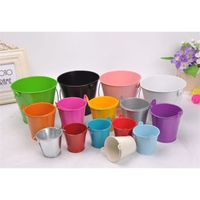 Wholesale Wedding Party Potted Plants Mini Small Assorted Colored Tin Pails Buckets Can Choose Color