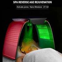 Wholesale 2021 Professional LED Skin Rejuvenation Photon Light Therapy Acne Treatment PDT Facial Care Machine Beauty Equipment