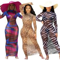 Wholesale Summer Dresses Long Mesh Beach Dress Leopard Print Womens Multi Stripe Sheer Long Sleeve O Neck Vestidos for Vocation Holiday