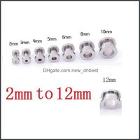 Wholesale Plugs Tunnels Body Jewelry Sliver Stainless Steel Ear Gauge Pierceing Surgical Mm To Mm Ak104 Drop Delivery A7Lwy