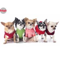 Wholesale Diamond Painting Diy d Cute Chihuahua Cross Stitch d Embroidery Pet Dog Picture By Numbers Full Square Mosaic