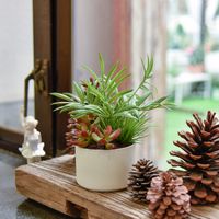 Wholesale Miniature inch x inch Chamaedorea Elegans succulent pot artificial color green plants