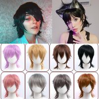 Wholesale Synthetic Wigs Short Straight Hair Fluffy Style Mullet Head Wig Color Black White Purple Blue High Temperature Party Cosplay