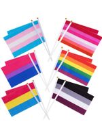 Wholesale Rainbow Pride Flag Small Mini Hand Held Banner Stick Gay LGBT Party Decorations Supplies For Parades Festival