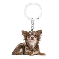Wholesale Chihuahua Dog Keychains Sitting NOT D Animal Bag Accessories Charms Drop Cute Llaveros For Year Gift Plat Acrylic Chain Apparel