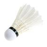 Wholesale NEW Ball Game Sport Training White Goose Feather Shuttlecocks Birdies Badminton speed