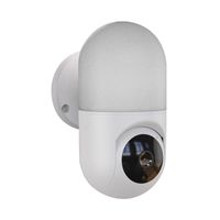 Wholesale Surveillance Camera P HD WIFI PTZ Rotation Home Motion Detection Smart Alarm Courtyard Lighting Wall Lamp IP Cameras