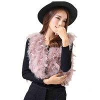 Wholesale Strawberry feathers Bolero Grey Women s fur Herfst Winter clothing Accessories Pink Black Color Short Vest V35