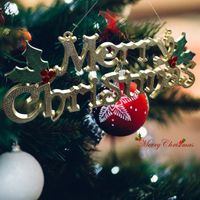 Discount Plastic Outdoor Xmas Decorations Plastic Outdoor Xmas